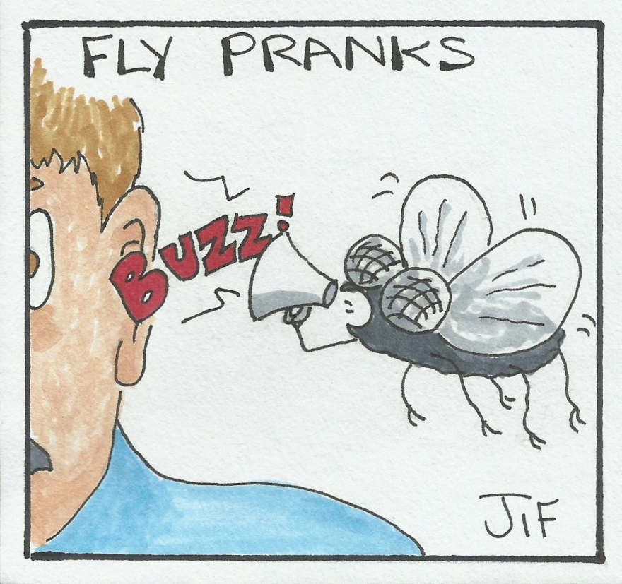 Fly pranks.jpg